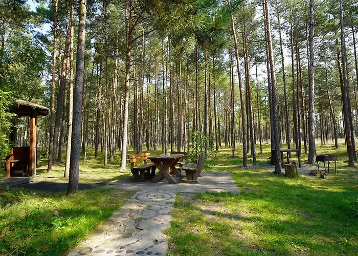 Forest Cottage