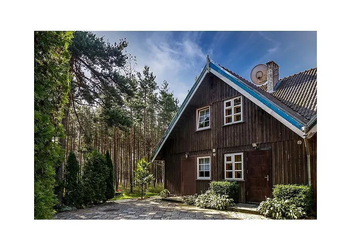 Forest Cottage