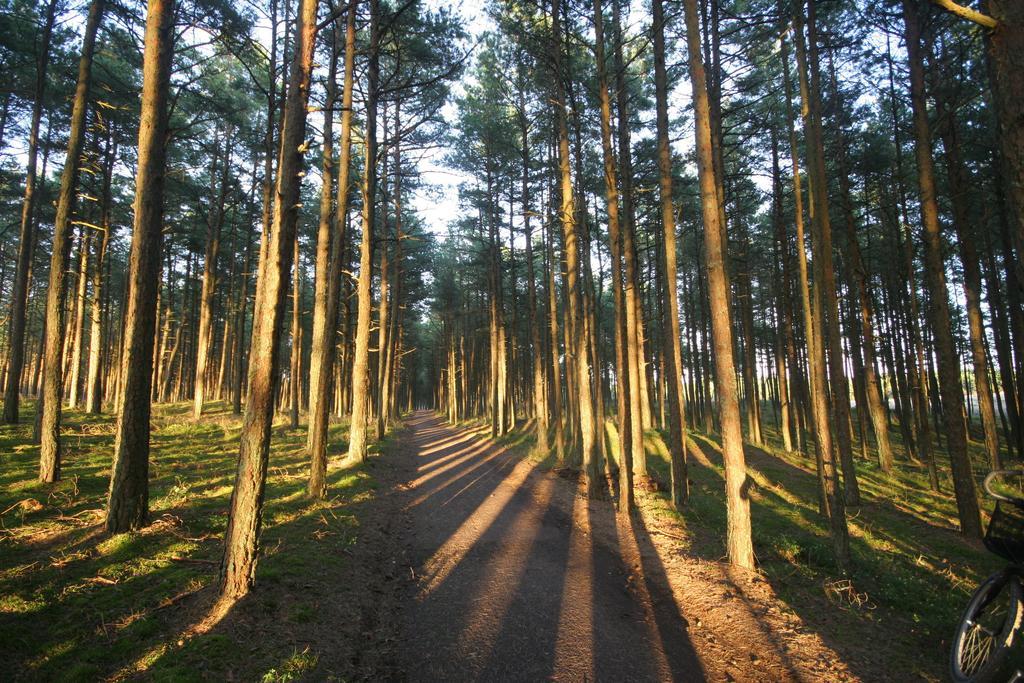 Forest Holiday home *