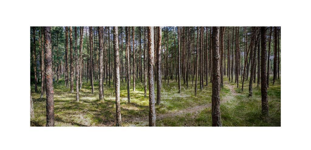 Holiday home Forest *